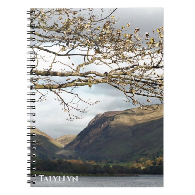 CADERNO ESPIRAL VISÕES DAS PAREDES (Frente)