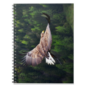 Caderno Espiral Vista de Olhos de Águia