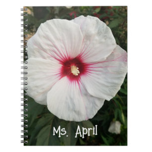 Caderno Espiral Vívido Personalizado Hibiscus Floral Closeup