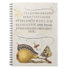 Caderno Espiral Voa, lagarta, pera e centípede de Mira