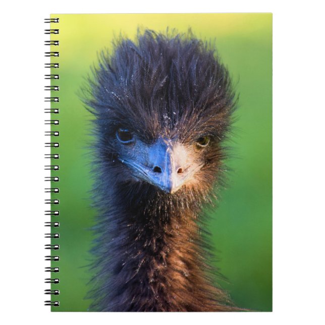 Caderno Espiral Você está me olhando? - Notebook Ostrich (Frente)