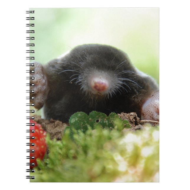 Caderno Espiral Você vai me casado? (Frente)