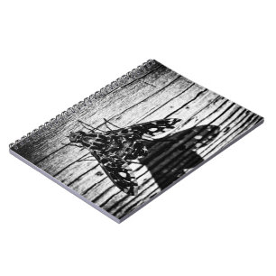 Caderno Espiral volta