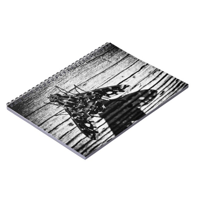Caderno Espiral volta (Left Side)