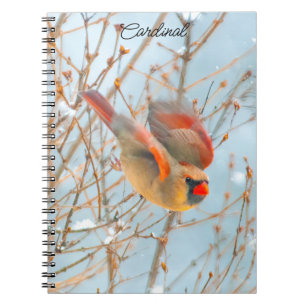 Caderno Espiral Voo Cardinal do norte - Fotografia Original