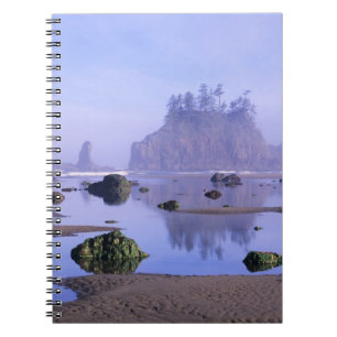 Caderno Espiral WA, Parque Nacional Olímpico, Segunda Praia,