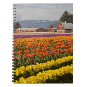 Caderno Espiral WA, Vale do Skagit, Campos de tulipas em flor, em