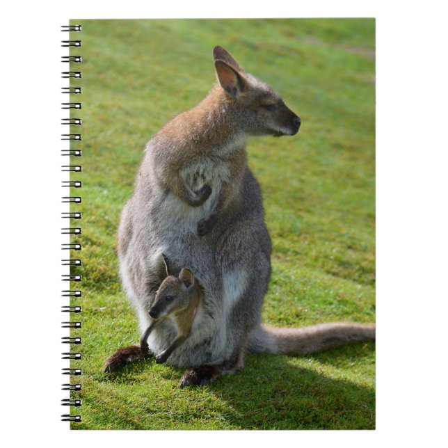Caderno Espiral Wallaby de pescoço vermelho e sua alegria (Frente)