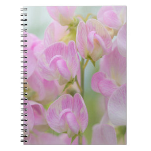 Caderno Espiral Washington, Seabeck. Detalhe da ervilha doce
