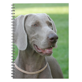 Caderno Espiral Weimaraner