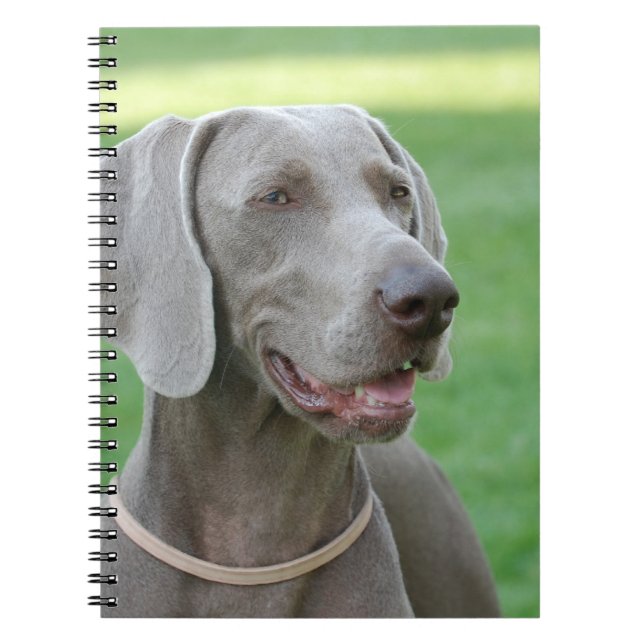 Caderno Espiral Weimaraner (Frente)