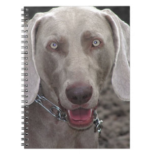 Caderno Espiral Weimaraner