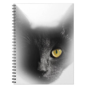 Caderno Espiral Wellcoda um gatinho Freaky Eyed do gato preto