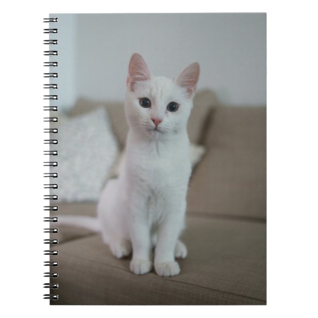 Caderno Espiral White cat | Zazzle_Growshop. (Frente)
