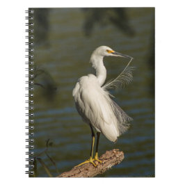 Caderno Espiral White Egret Spiral Photo Notebook