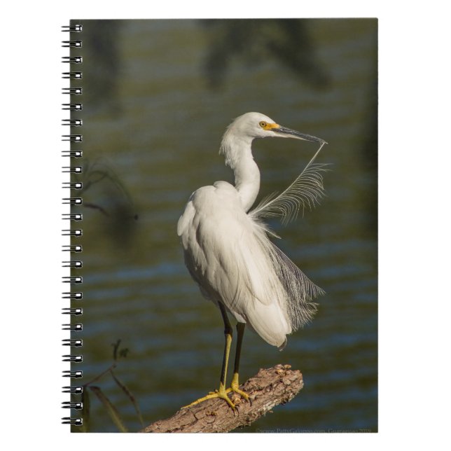 Caderno Espiral White Egret Spiral Photo Notebook (Frente)