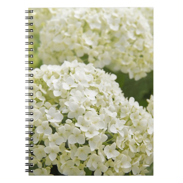 Caderno Espiral White Hydrangea (Frente)