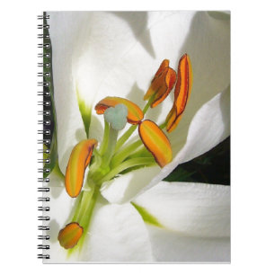 Caderno Espiral White Lily