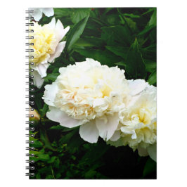 Caderno Espiral White Peony Trio