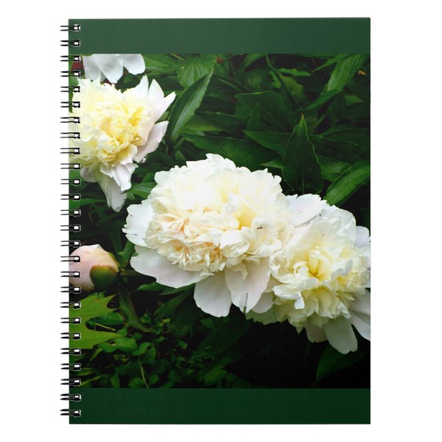 Caderno Espiral White Peony Trio (Frente)