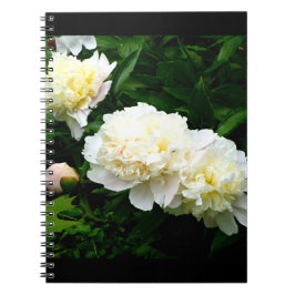 Caderno Espiral White Peony Trio