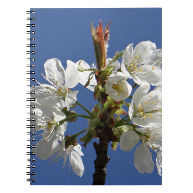 Caderno Espiral White Spring Bloom (Frente)
