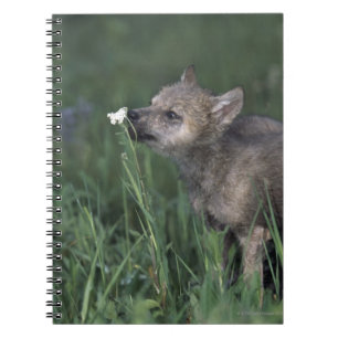 Caderno Espiral Wildflower da montanha Sniffing do filhote de