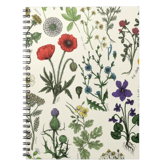 Caderno Espiral Wildflowers collage (Frente)