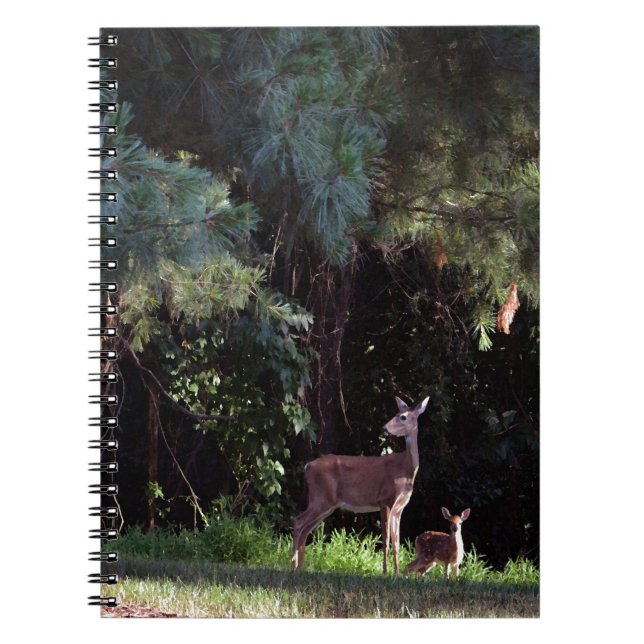 Caderno Espiral Wildlife Watercolor (Frente)