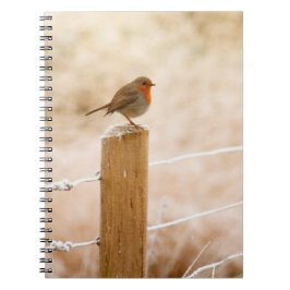 Caderno Espiral Winter Robin Redbreast