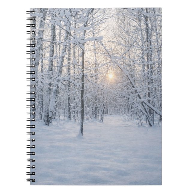 Caderno Espiral Winter Sunlight in Quiet Birch Forest (Frente)