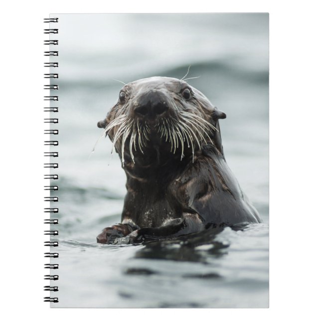 Caderno Espiral Wise Otter (Frente)
