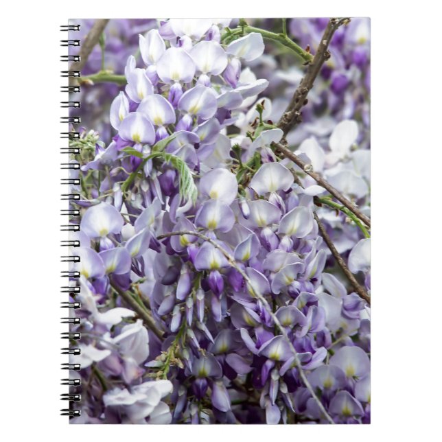 Caderno Espiral Wisteria (Frente)