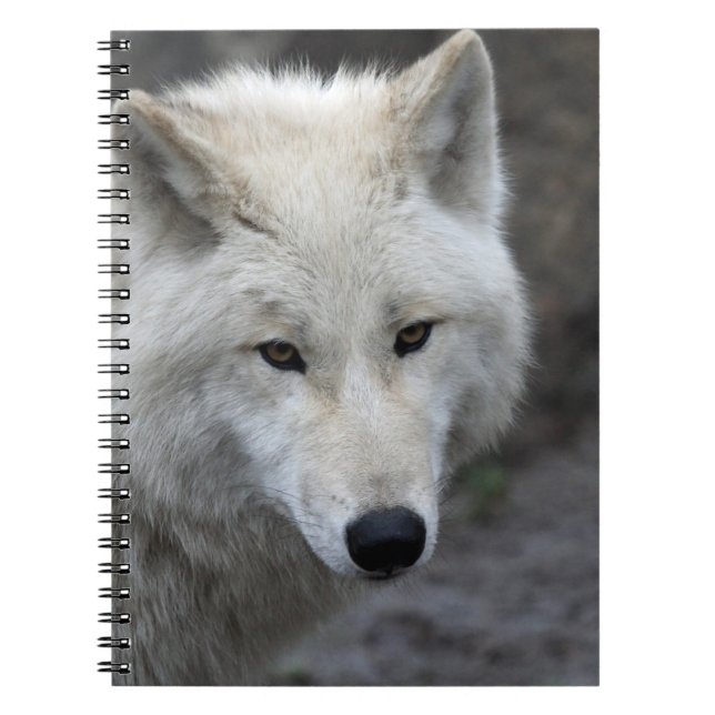 Caderno Espiral Wolf 015 (Frente)