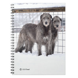 Caderno Espiral Wolfhounds irlandês na neve