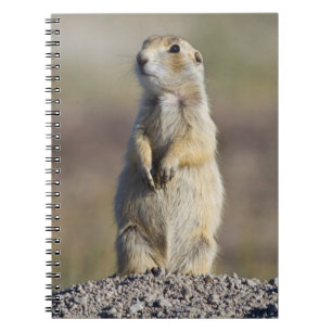 Caderno Espiral Wyoming, Condado de Sublette, Campo de cães-da-pra