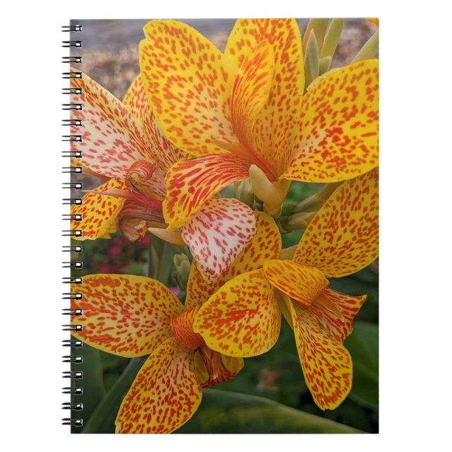 Caderno Espiral Yellow Canna Lily with Red Speckles Floral (Frente)