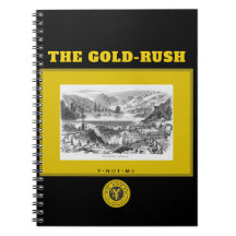 YNOME O DOURADO RUSH 3