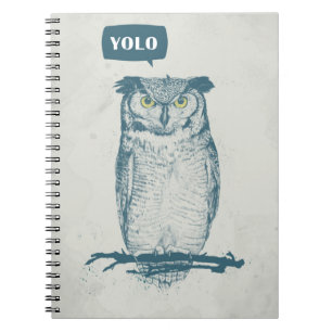 CADERNO ESPIRAL YOLO