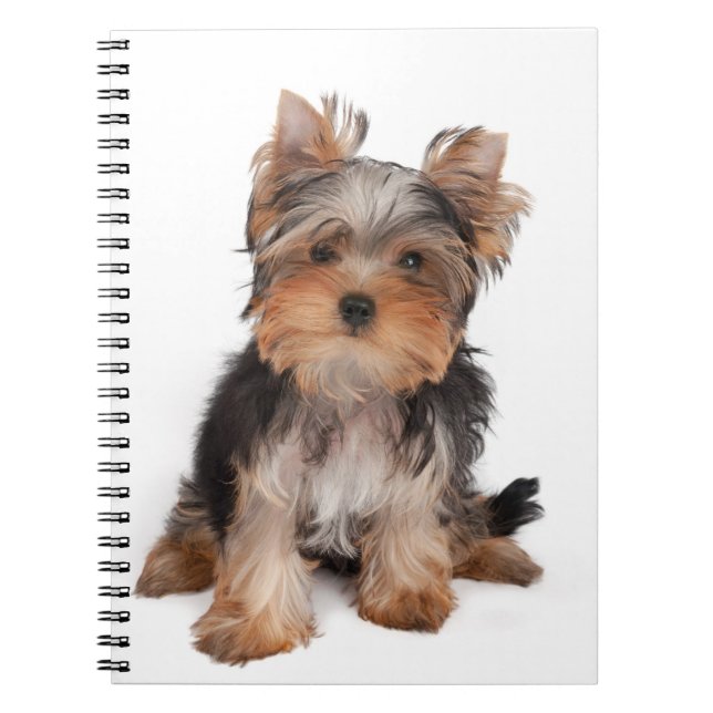 Caderno Espiral Yorkie (Frente)