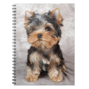 Caderno Espiral Yorkie maravilhoso