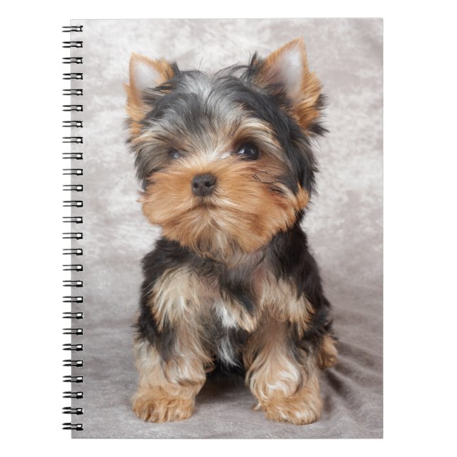 Caderno Espiral Yorkie maravilhoso (Frente)