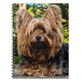 Caderno Espiral Yorkshire Terrier Dog