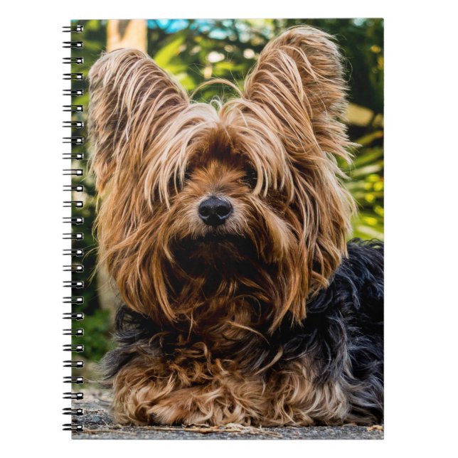 Caderno Espiral Yorkshire Terrier Dog (Frente)
