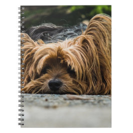 Caderno Espiral Yorkshire Terrier Dog
