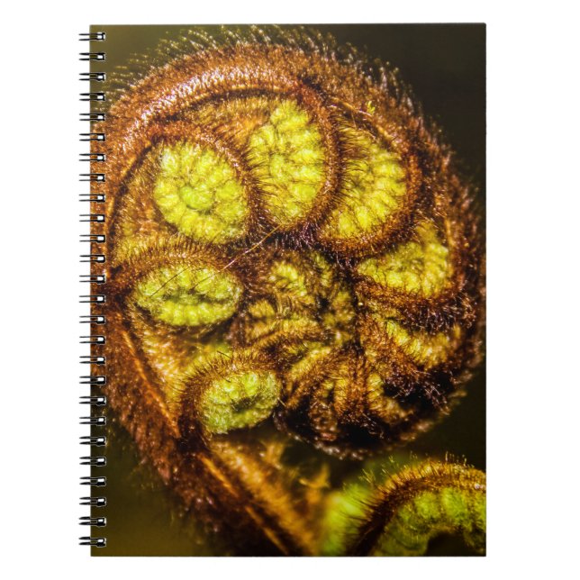 Caderno Espiral Young Fern Folaves (Frente)