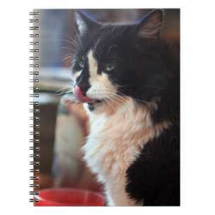 Caderno Espiral Yum! Deleites saborosos do gatinho!