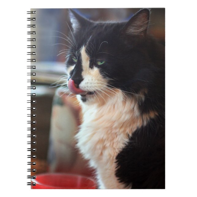 Caderno Espiral Yum! Tremores de Gatinho! (Frente)