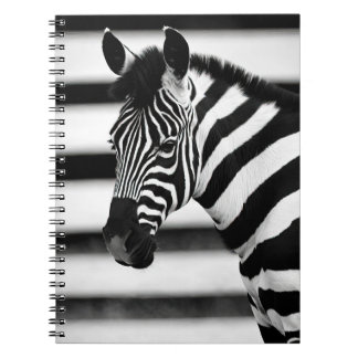 Caderno Espiral Zebra