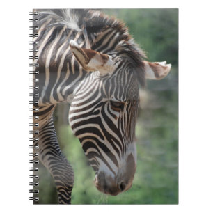Caderno Espiral Zebra adorável